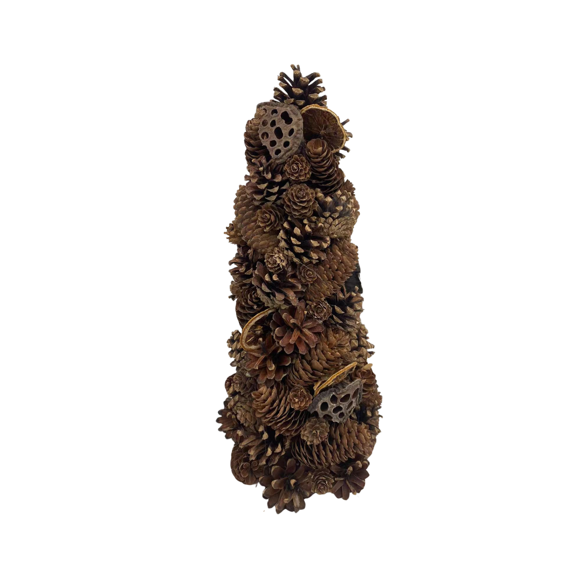 Pinea Zapfenbaum